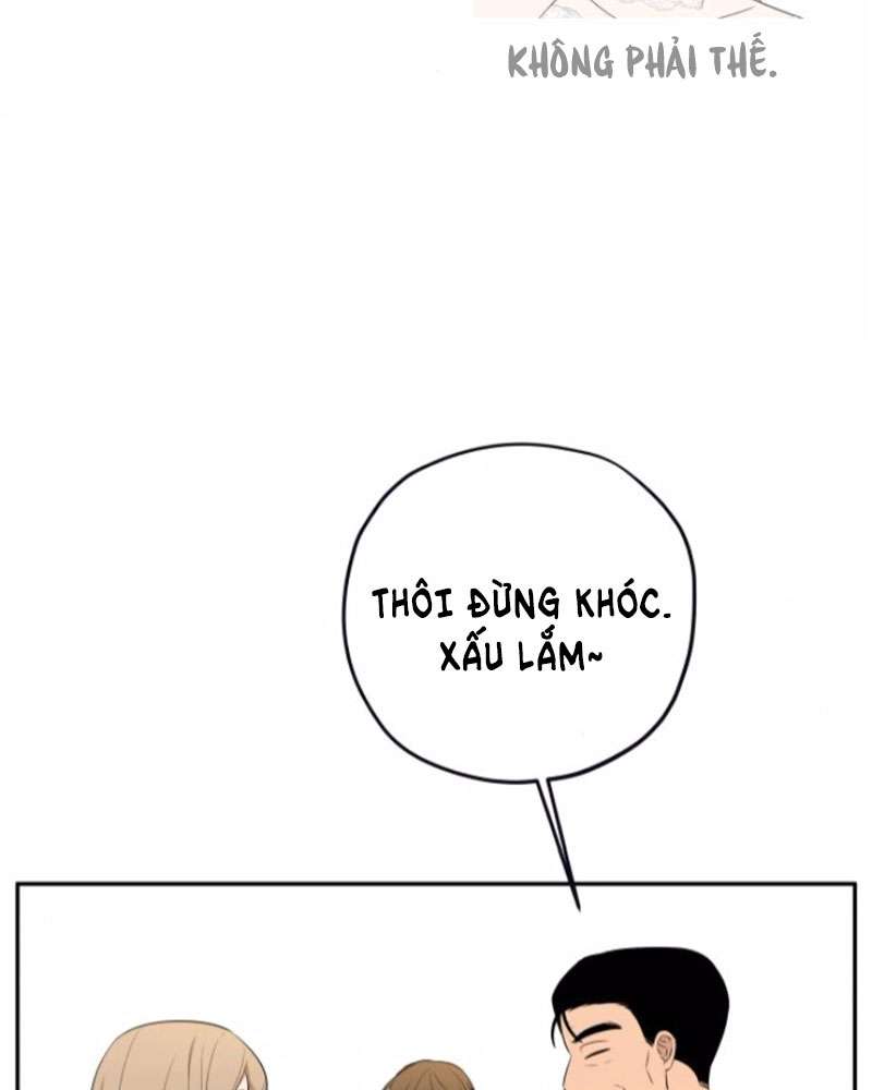 Trận Đấu Đồng Đội Của Những Tài Xế Xe Tải Chap 38 - Trang 4