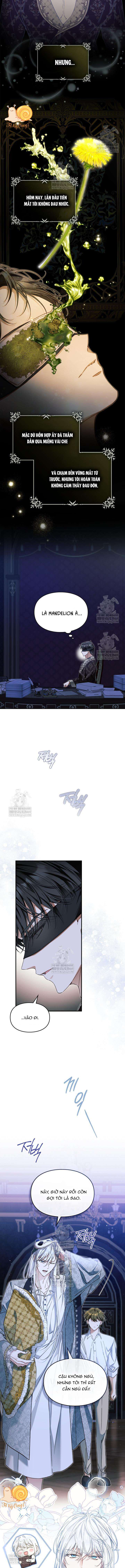 Tôi Đã Đính Hôn Với Vị Công Tước Mù Chap 16 - Trang 2