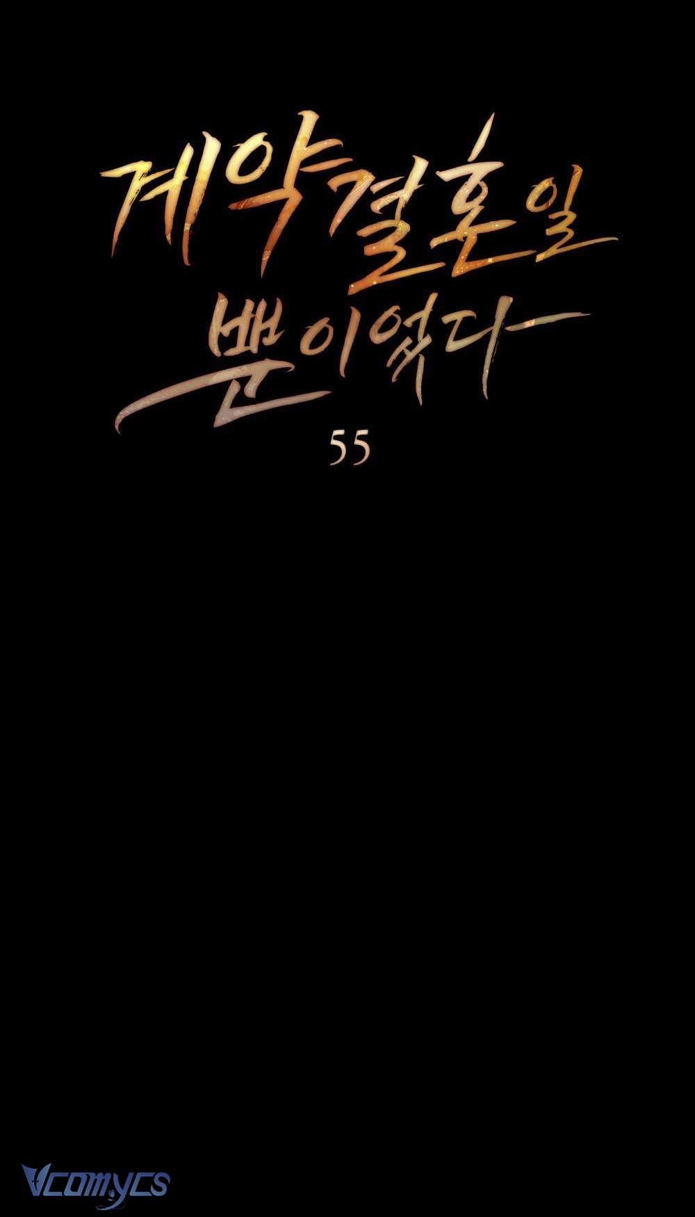 Hôn Nhân Khế Ước Chap 55 - Trang 3