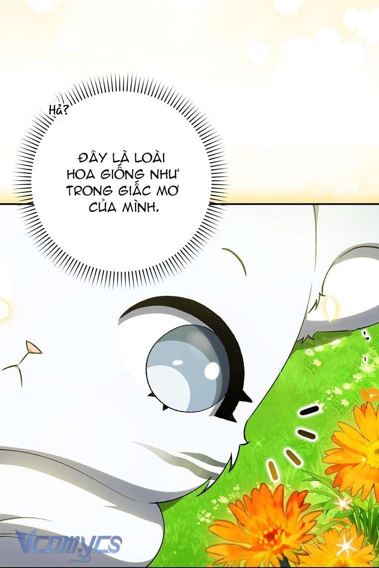 Công Chúa Bạch Hổ Không Có Nguy Hiểm Nha! Chap 6 - Trang 2