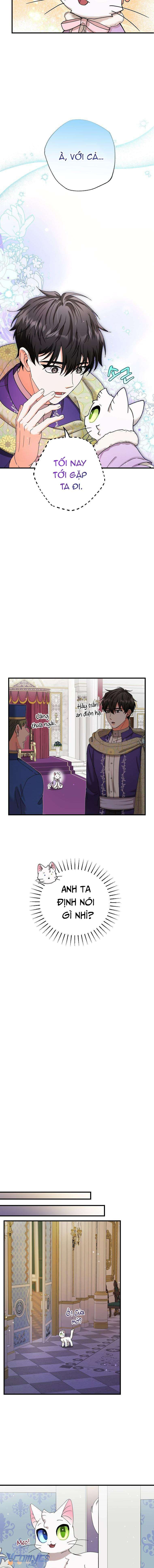 Trở Thành Miêu Nữ Của Hoàng Đế Chapter 17 - Trang 4