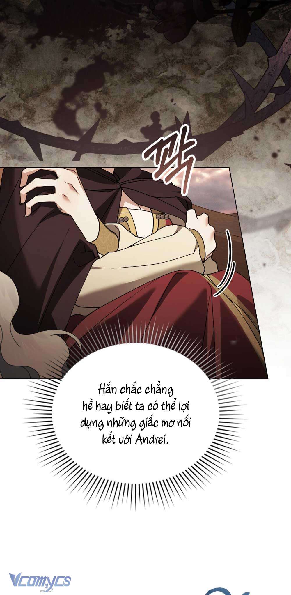 Hôn Nhân Khế Ước Chap 53 - Trang 3