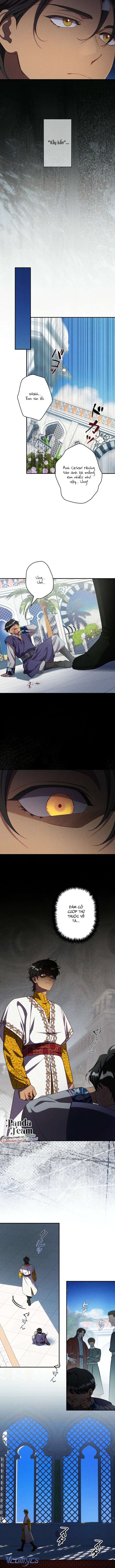 〔18+〕Cuộc Hôn Nhân Thế Thân Của Lily Bush Chap 36 - Trang 2