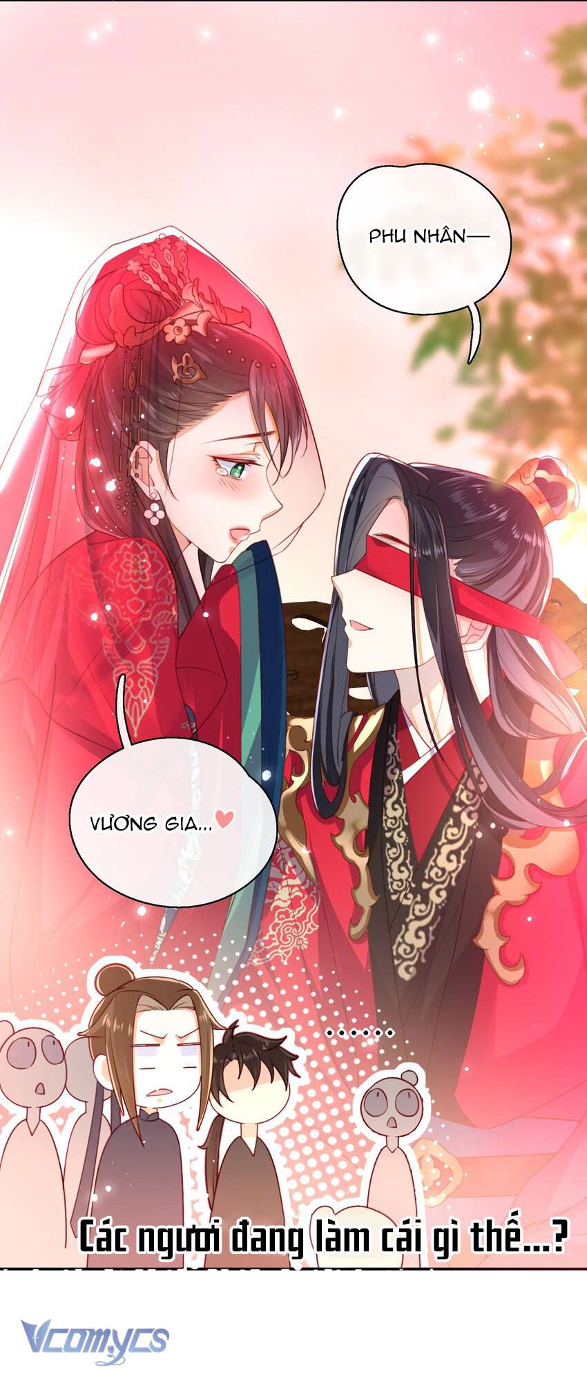 Đại Lão Phải Gả Cho Phu Quân Mù! Chap 6 - Trang 2