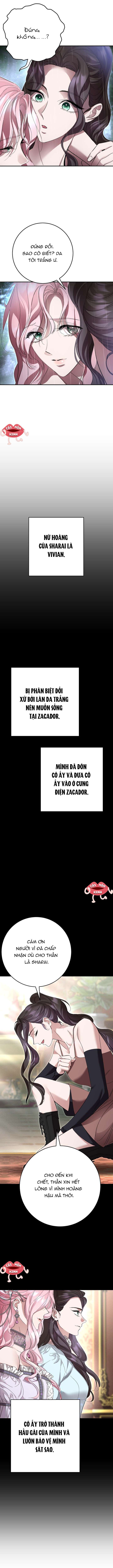 Cuộc Hôn Nhân Bị Bắt Cóc Xuyên Thời Gian Của Hoàng Hậu Chap 31 - Trang 2