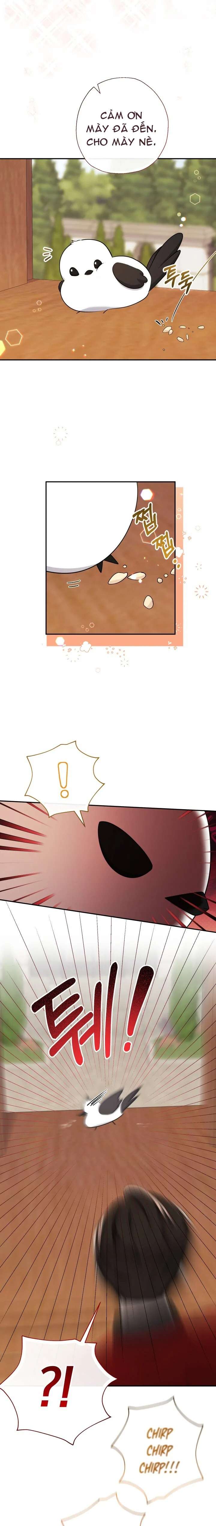 [PNT] Tiểu Thư Tích Tiền Đi Bụi Chap 54 - Trang 2