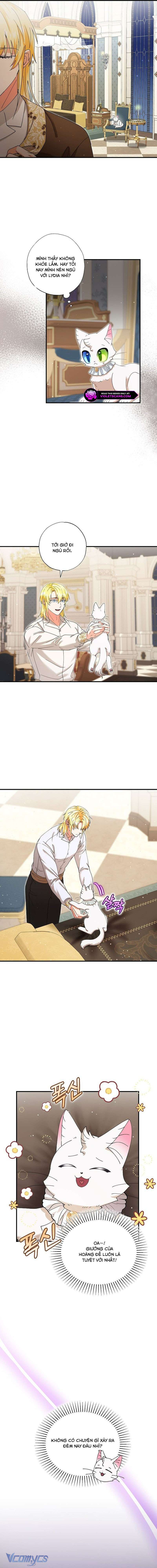 Trở Thành Miêu Nữ Của Hoàng Đế Chap 33 - Trang 4