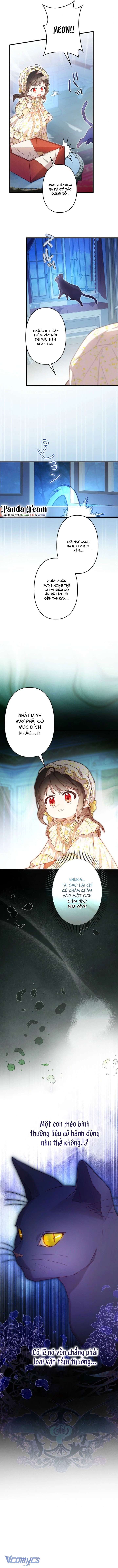 Kiếp Này Em Sẽ Không Sống Dưới Cái Bóng Của Người Chị Song Sinh Chap 7 - Trang 3