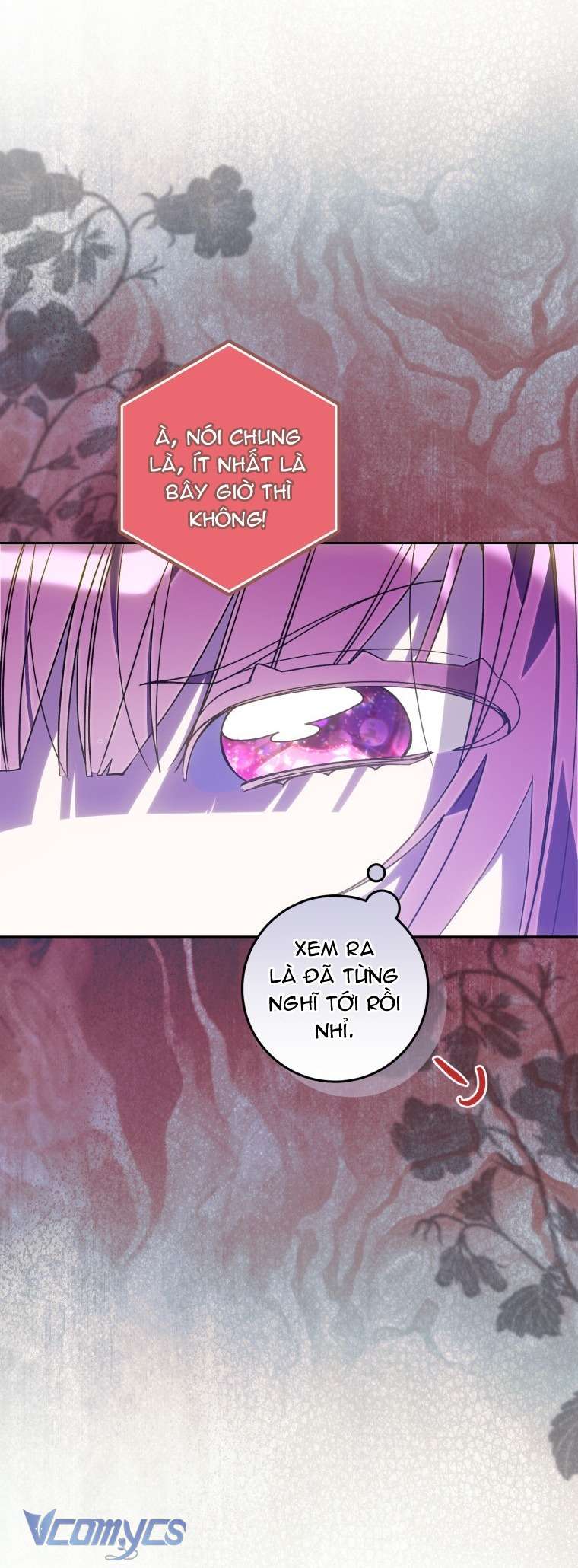 Người Vợ Hắc Ám Của Cậu Chồng Nhỏ Chap 36 - Trang 2