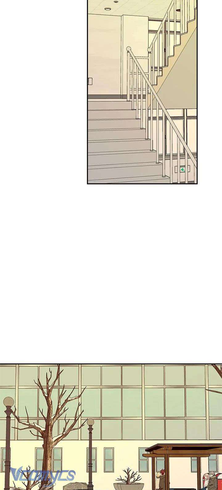 Điều Ước Sao Băng Chap 58 - Trang 4