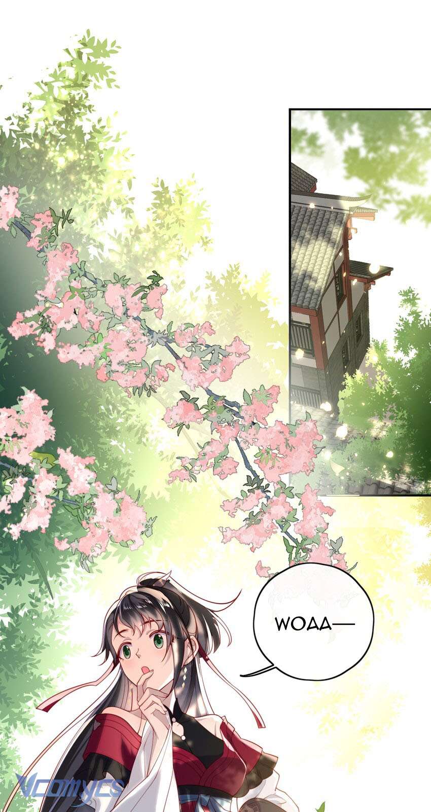 Đại Lão Phải Gả Cho Phu Quân Mù! Chap 12 - Trang 2