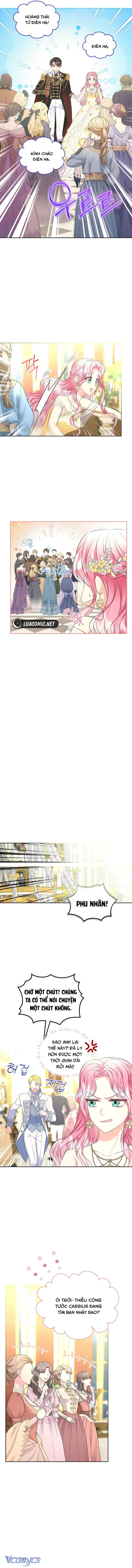 Tôi sẽ ly hôn với anh trai nữ chính Chap 48 - Trang 2