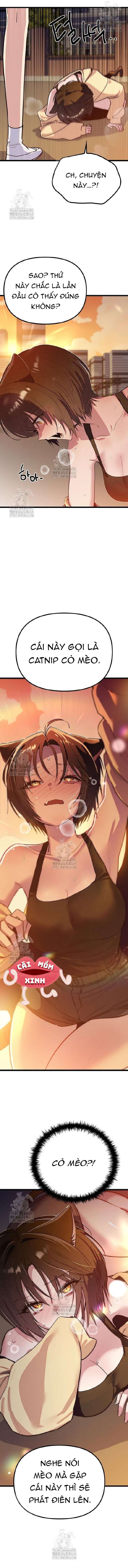 Thiếu Nữ 12 Con Giáp Chap 16 - Trang 2