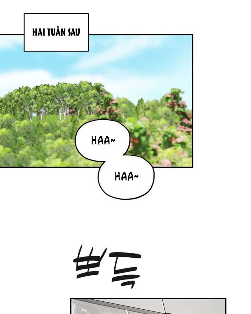 Trận Đấu Đồng Đội Của Những Tài Xế Xe Tải Chap 37 - Trang 4