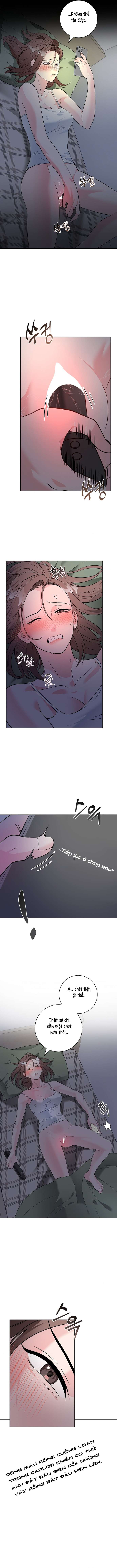 〖18+〗- Cánh Hoa Ướt Đẫm Của Thánh Nữ Chap 3 - Trang 2