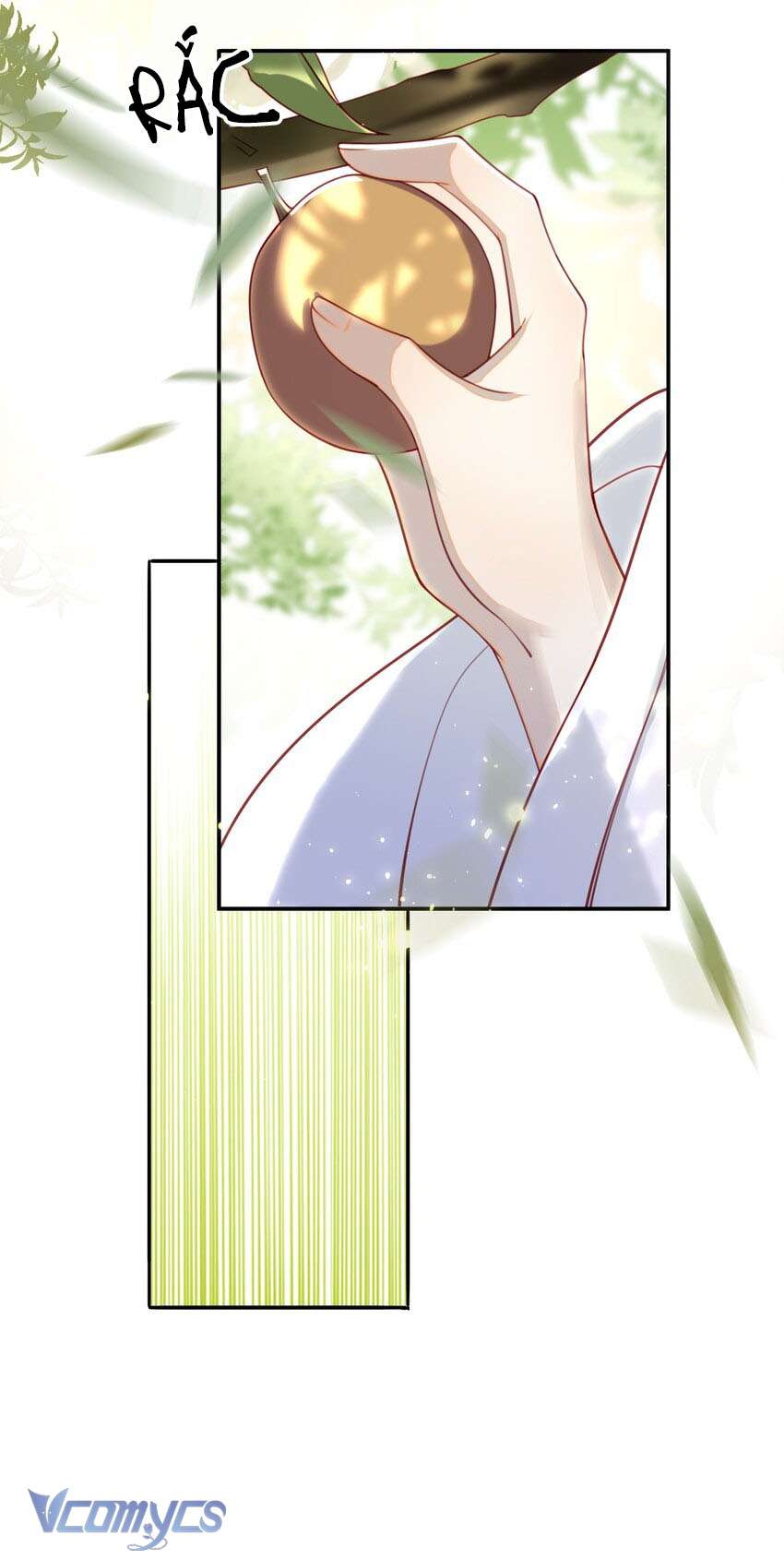 Đại Lão Phải Gả Cho Phu Quân Mù! Chap 12 - Trang 2