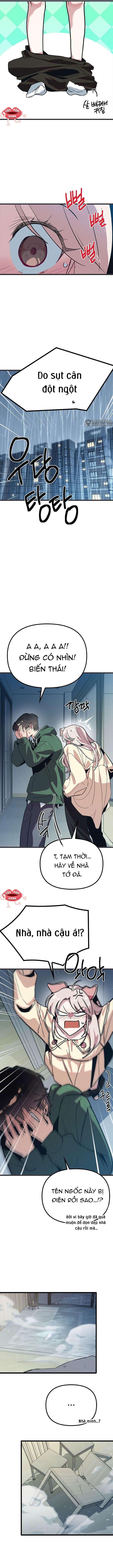 Thiếu Nữ 12 Con Giáp Chap 12 - Trang 2