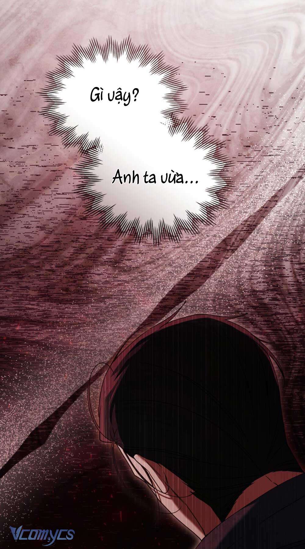 Hôn Nhân Khế Ước Chap 51 - Trang 3