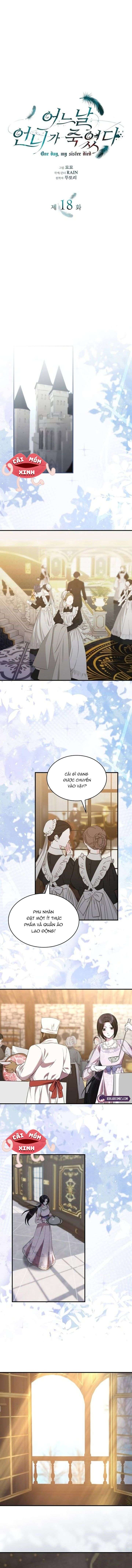 Vào Ngày Mà Chị Gái Tôi Qua Đời Chap 18 - Trang 3