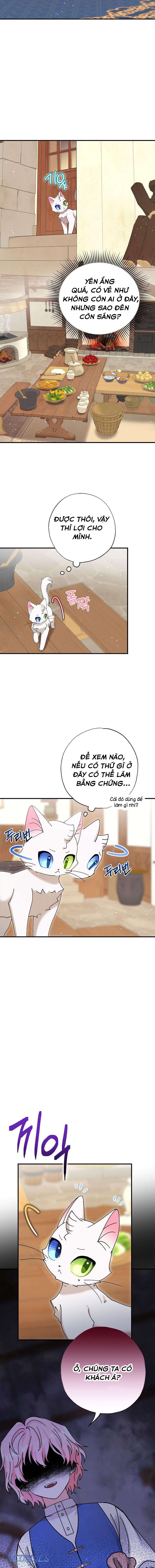 Trở Thành Miêu Nữ Của Hoàng Đế Chapter 8 - Trang 4