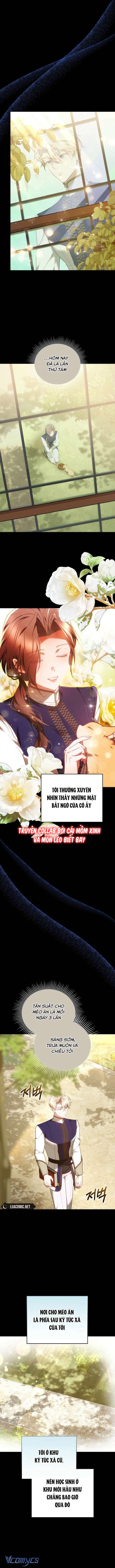 Lý Do Mà Ác Nữ Ấy Cầm Kiếm Chap 18 - Trang 2