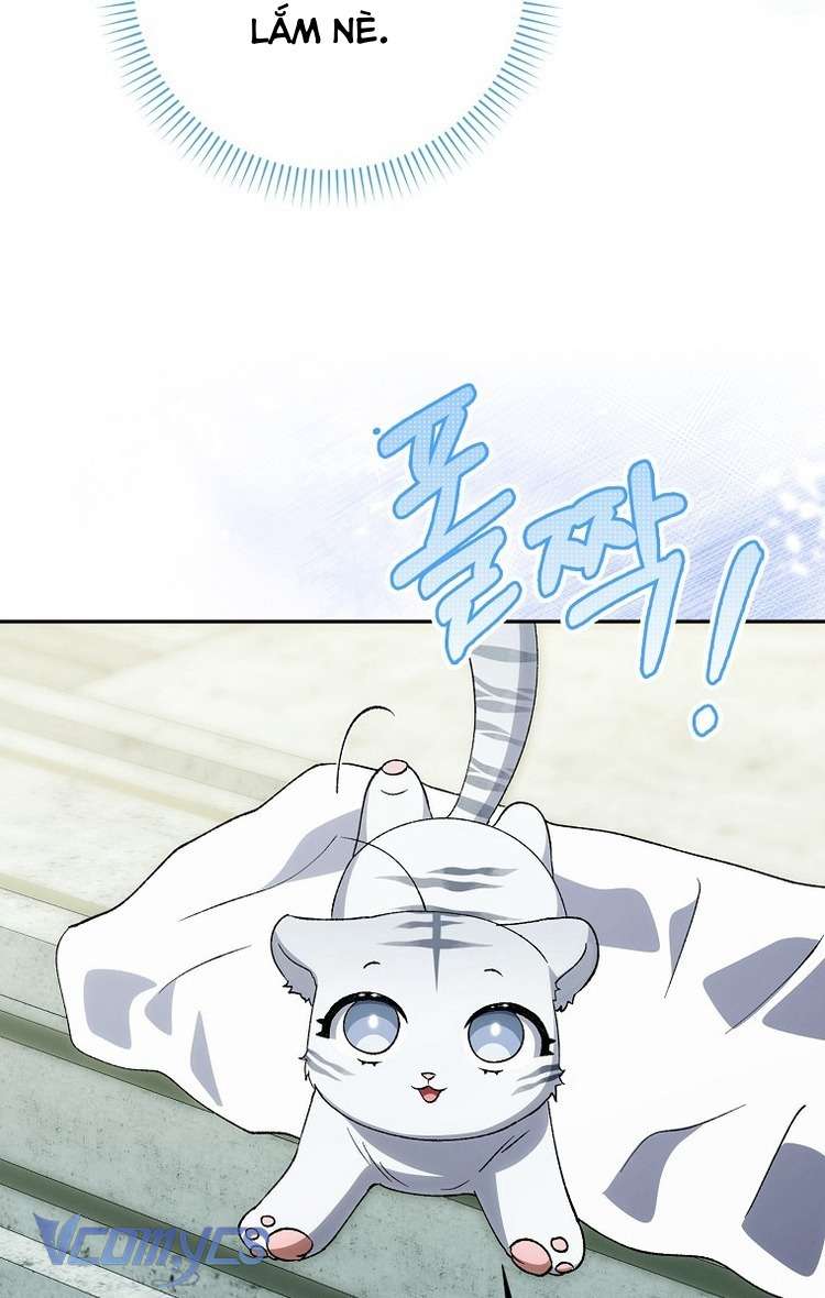 Công Chúa Bạch Hổ Không Có Nguy Hiểm Nha! Chap 10 - Trang 2