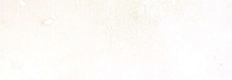 Không Còn Trong Trắng Chap 1 - Trang 2