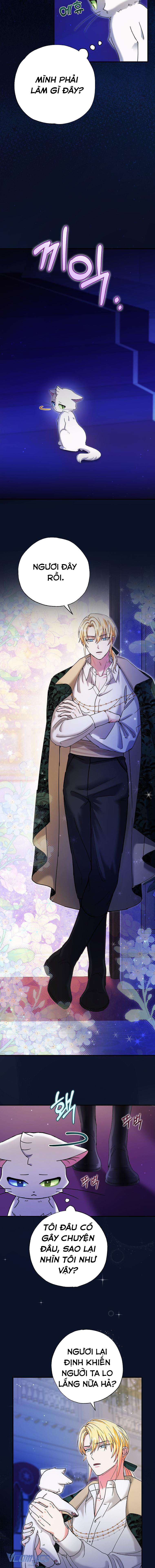 Trở Thành Miêu Nữ Của Hoàng Đế Chapter 9 - Trang 4