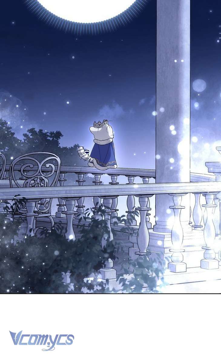 Công Chúa Bạch Hổ Không Có Nguy Hiểm Nha! Chap 11 - Trang 2