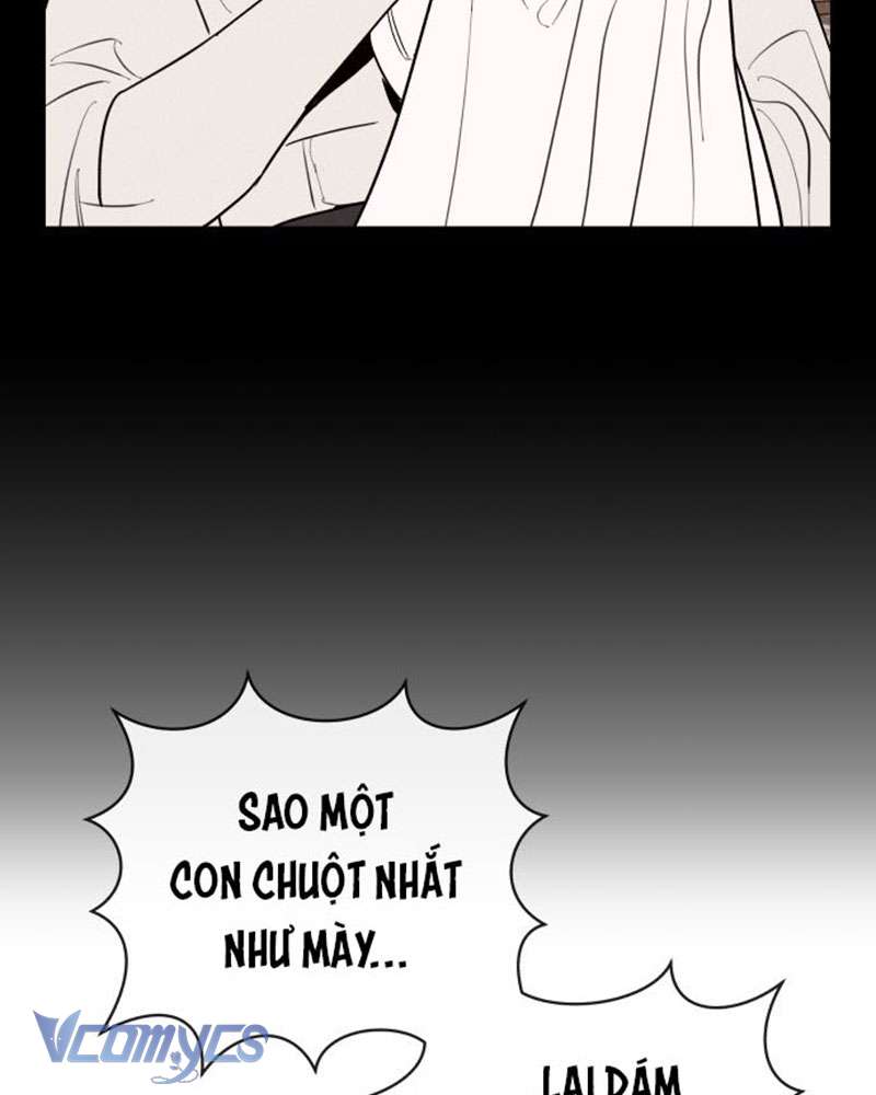 Tối Nay Tôi Là Người Được Cô Ấy Chọn Chap 2 - Trang 3