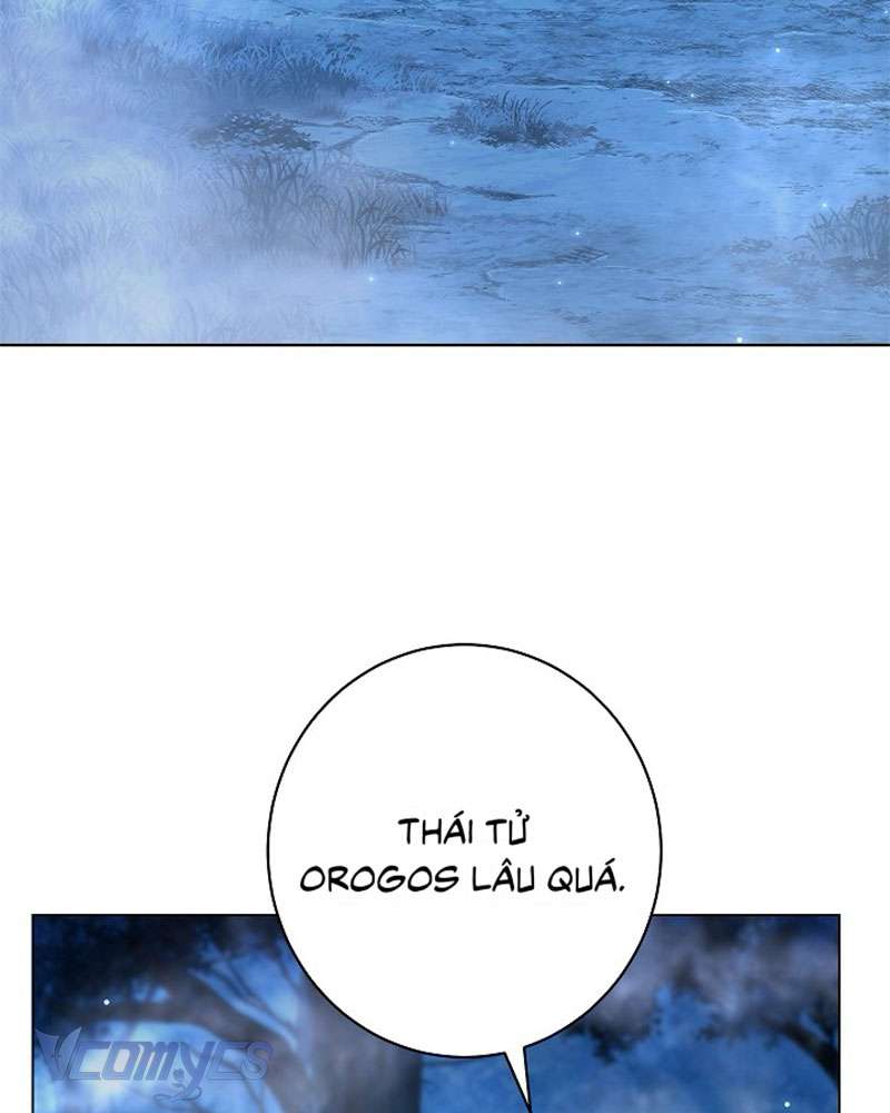 Hầu Gái Độc Quyền Của Hoàng Hậu Phản Diện Chap 91 - Trang 4