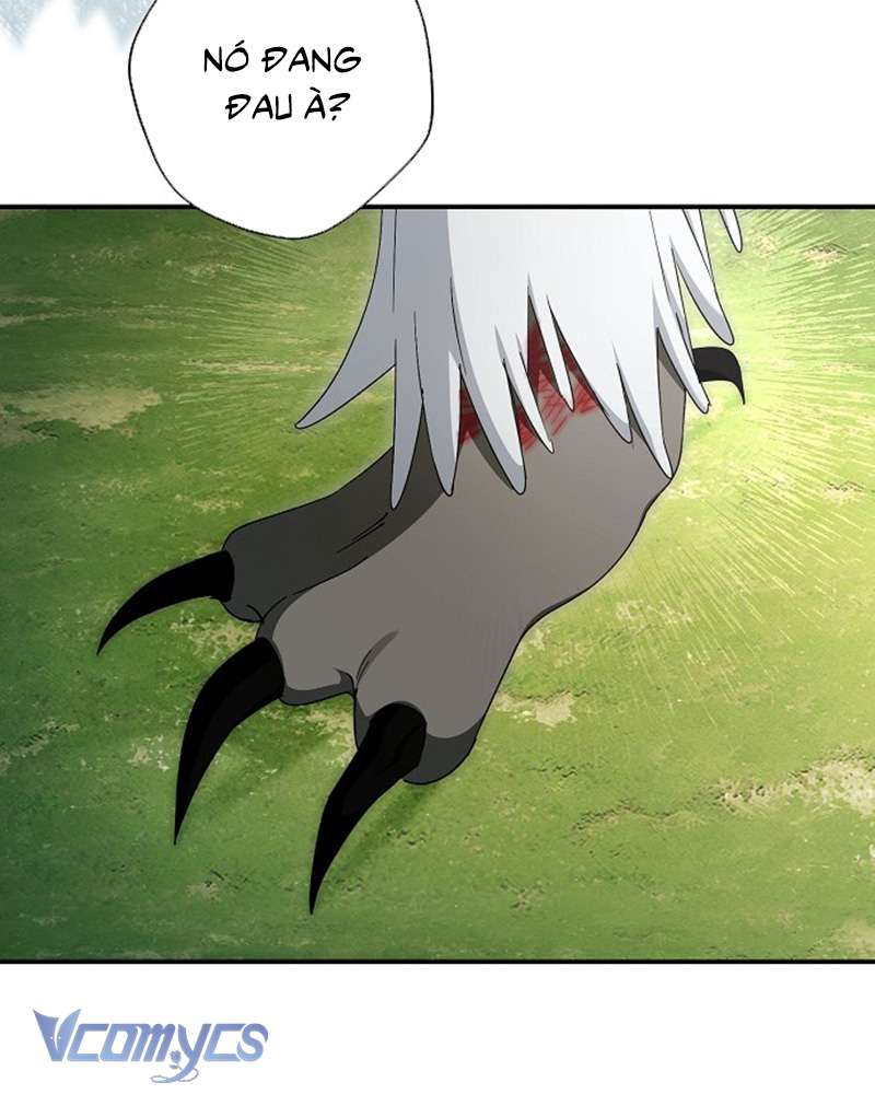 Các Nam Chính Đã Bị Nữ Phụ Cướp Mất Chap 60 - Trang 3