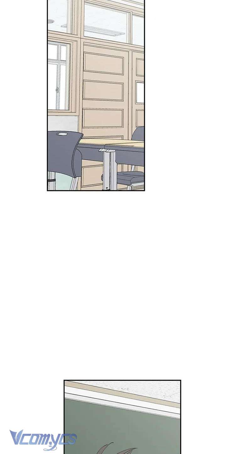 Điều Ước Sao Băng Chap 58 - Trang 4