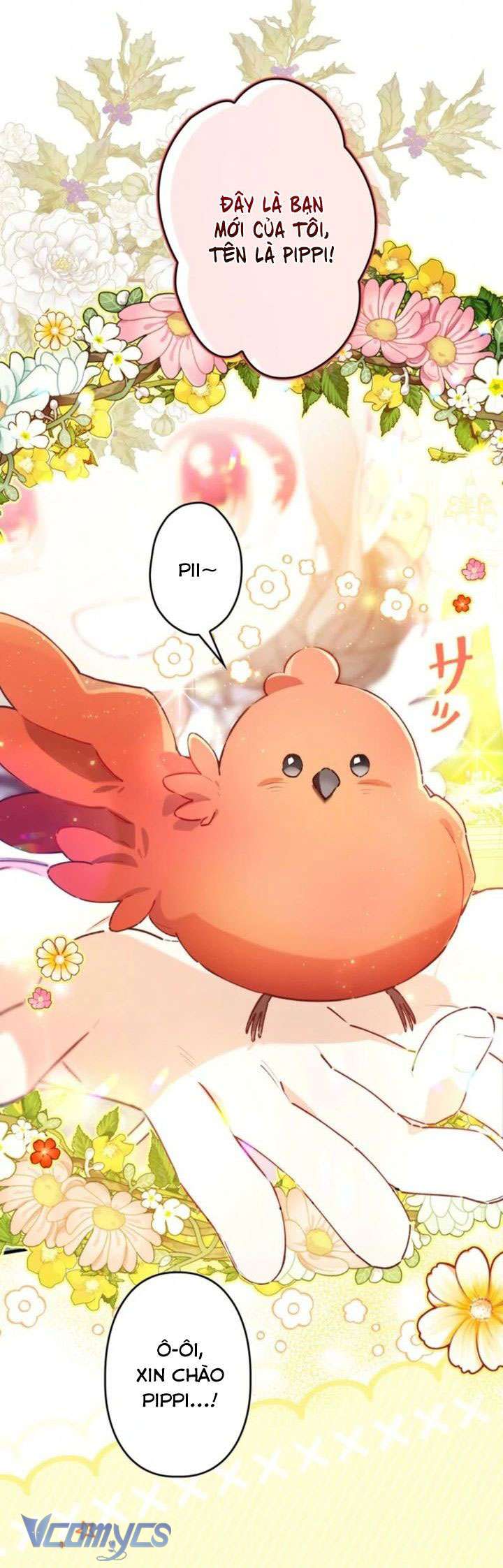 Kiếp Này Em Sẽ Không Sống Dưới Cái Bóng Của Người Chị Song Sinh Chap 8 - Trang 3