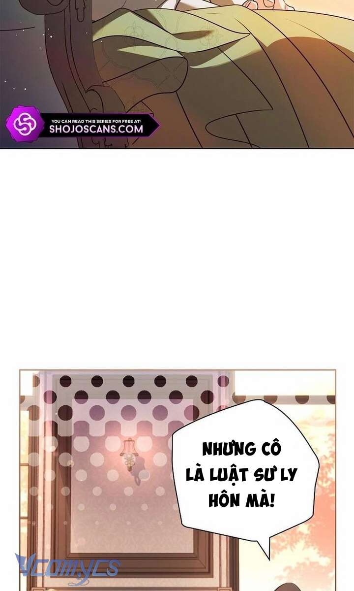 Hãy Để Luật Sư Chuyên Nghiệp Lo Chuyện Ly Hôn Chap 2 - Trang 2