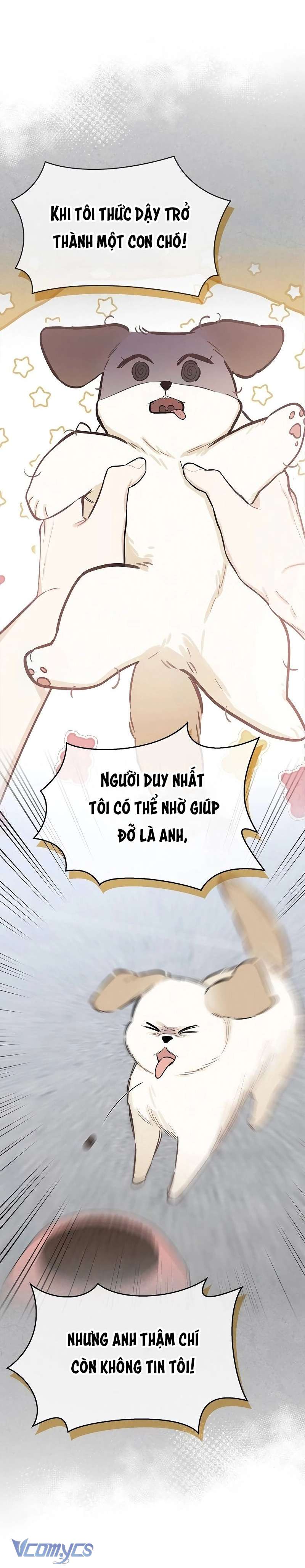 Sếp, Em Sẽ Trở Thành Cún Cưng Của Anh Chap 5 - Trang 3