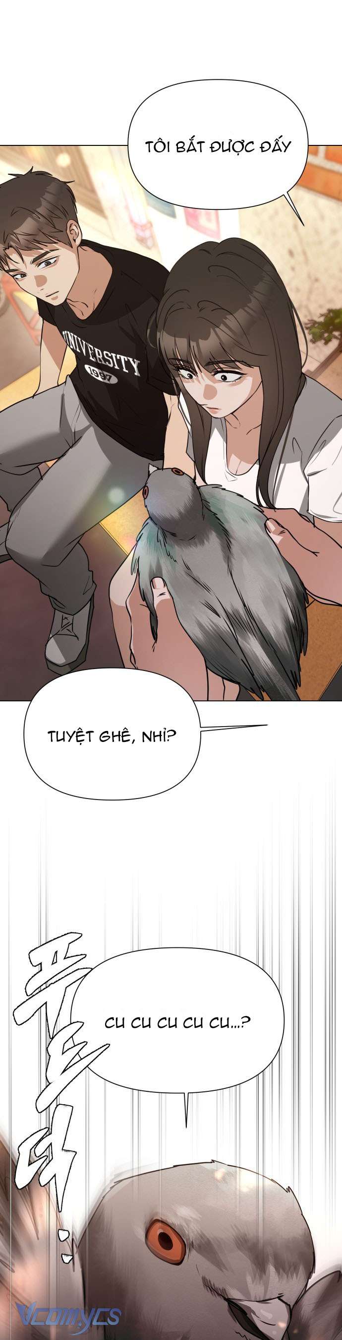 Chàng Romeo Của Chúng Ta Chap 5 - Trang 2