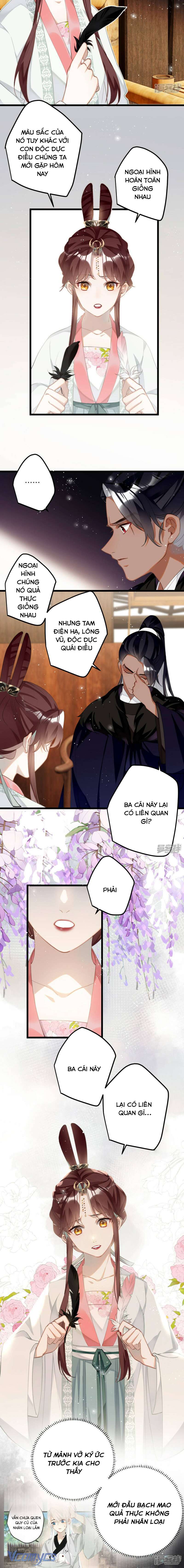 Công Chúa Pháo Hôi Muốn Tùy Tiện Đến Cuối Cùng Chap 76 - Trang 2