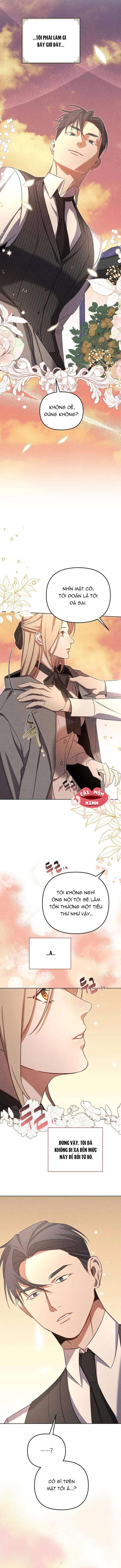 Nơi Đóa Hồng Vàng Úa Tàn Chap 8 - Trang 2