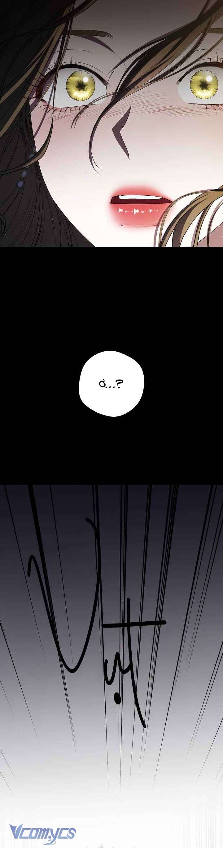 Trở Thành Leader Của Nhóm Nhạc Nữ Đang Trên Bờ Vực Sụp Đổ Chap 1 - Trang 4