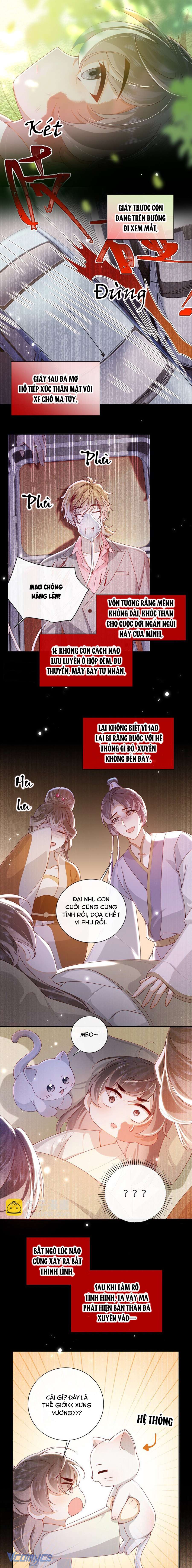 Đại Lão Phải Gả Cho Phu Quân Mù! Chap 70 - Trang 2