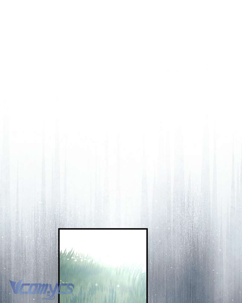 Các Nam Chính Đã Bị Nữ Phụ Cướp Mất Chap 59 - Trang 3