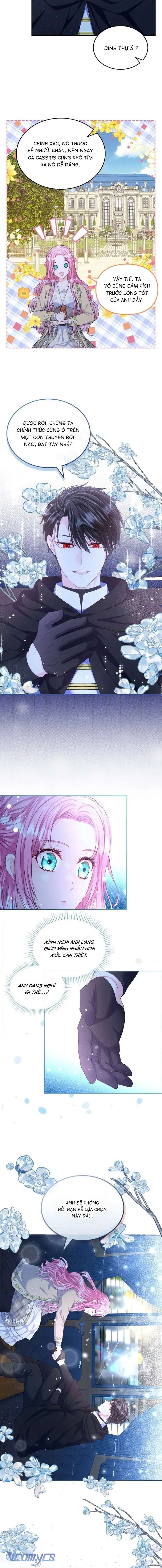 Tôi sẽ ly hôn với anh trai nữ chính Chap 16 - Trang 2