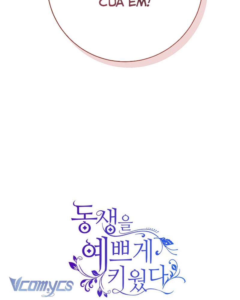 Tôi Đã Nuôi Dạy Em Gái Mình Một Cách Hoàn Hảo Chapter 22 - Trang 4