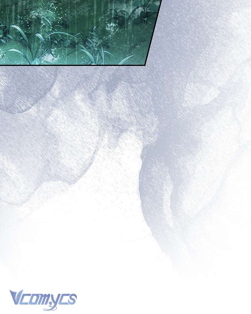 Các Nam Chính Đã Bị Nữ Phụ Cướp Mất Chap 70 - Trang 2