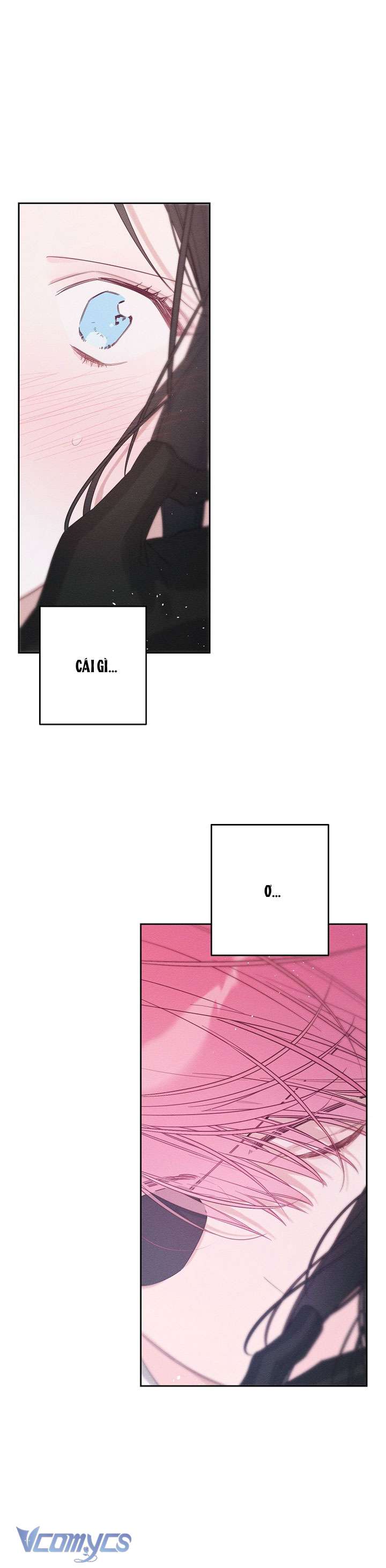 Trước Tiên Phải Giấu Em Trai Cái Đã! Chap 80 - Trang 2