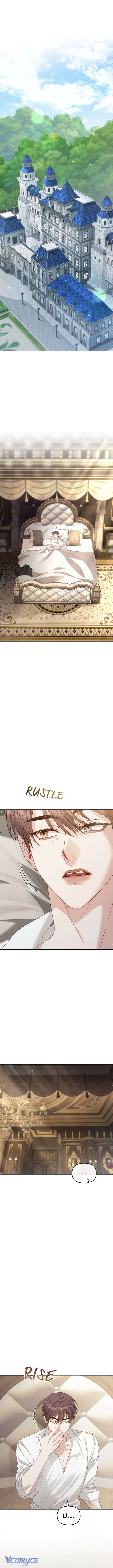 Tôi Đã Trải Qua Đêm Đầu Tiên Dù Chỉ Là Hoàng Hậu Thay Thế Chap 51 - Trang 2