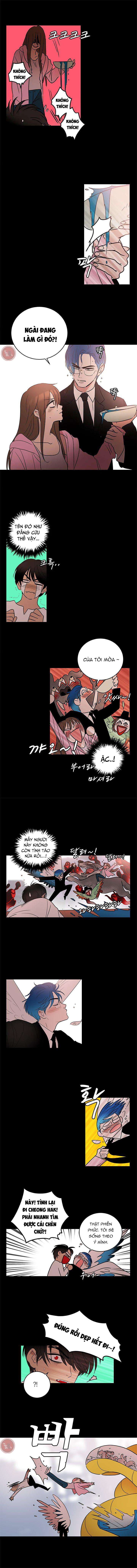 Cô Nàng Pháp Sư Chap 49 - Trang 2