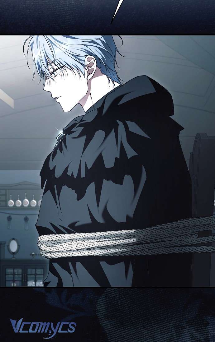 Các Nam Chính Đã Bị Nữ Phụ Cướp Mất Chap 43 - Trang 3