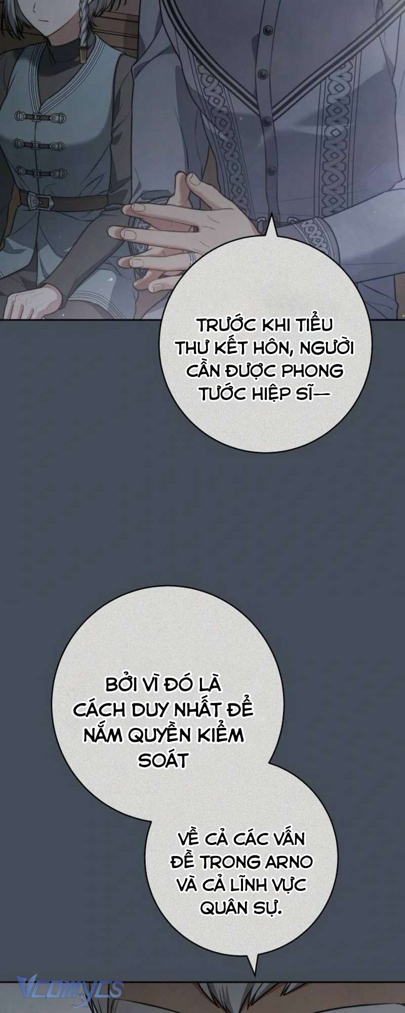 Hôn Nhân Vụ Lợi 2: Bản Tình Ca Không Thể Quên Chap 19 - Trang 2